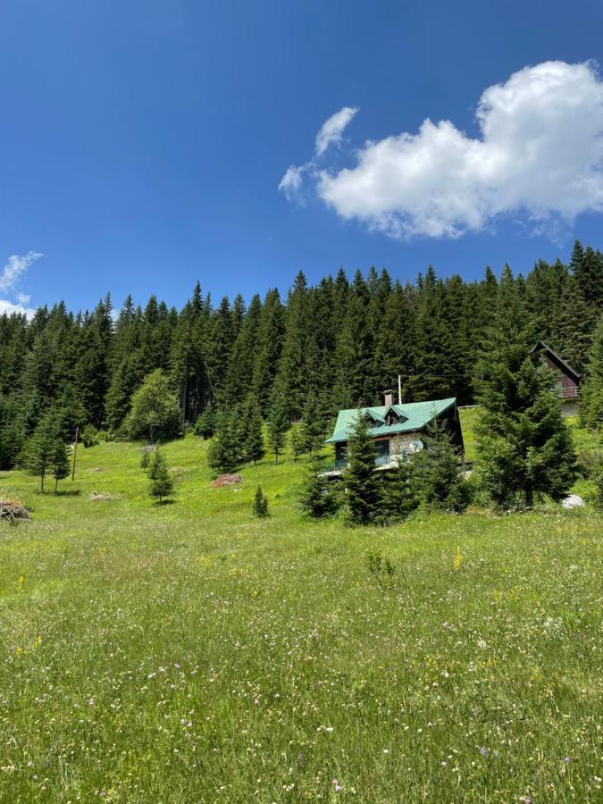 Magic Mountain Vila Žabljak Exterior foto