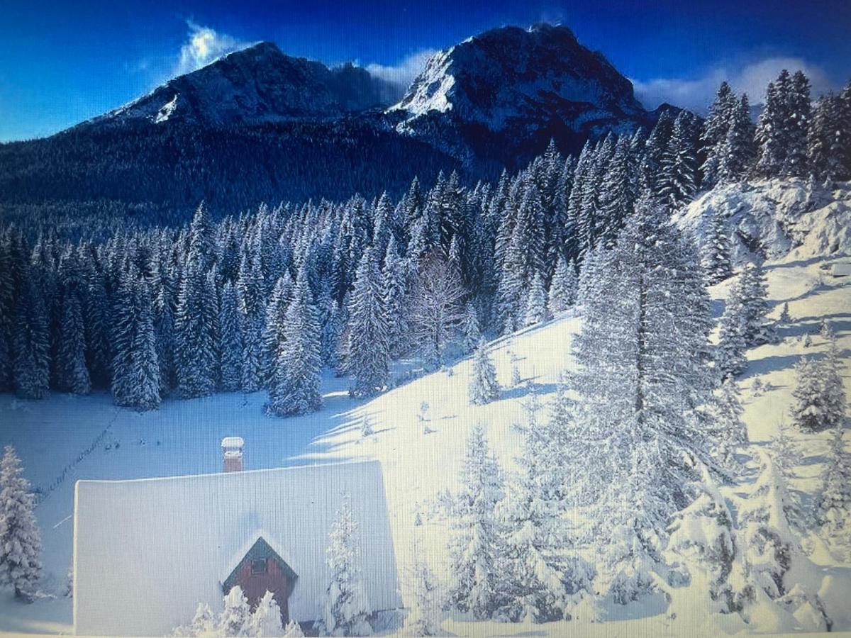 Magic Mountain Vila Žabljak Exterior foto