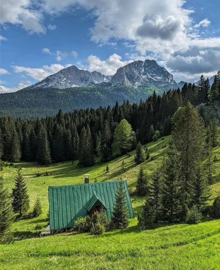 Magic Mountain Vila Žabljak Exterior foto